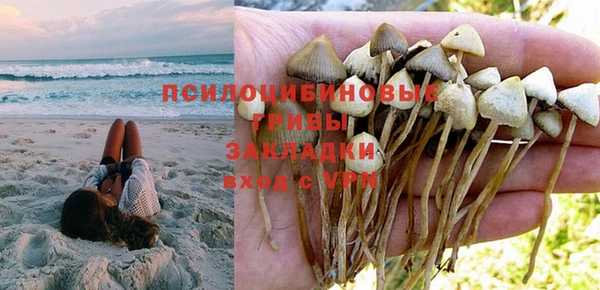 мдма Бородино